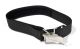 Edge Tank Cam Strap w/ SS Pro Cam Buckle